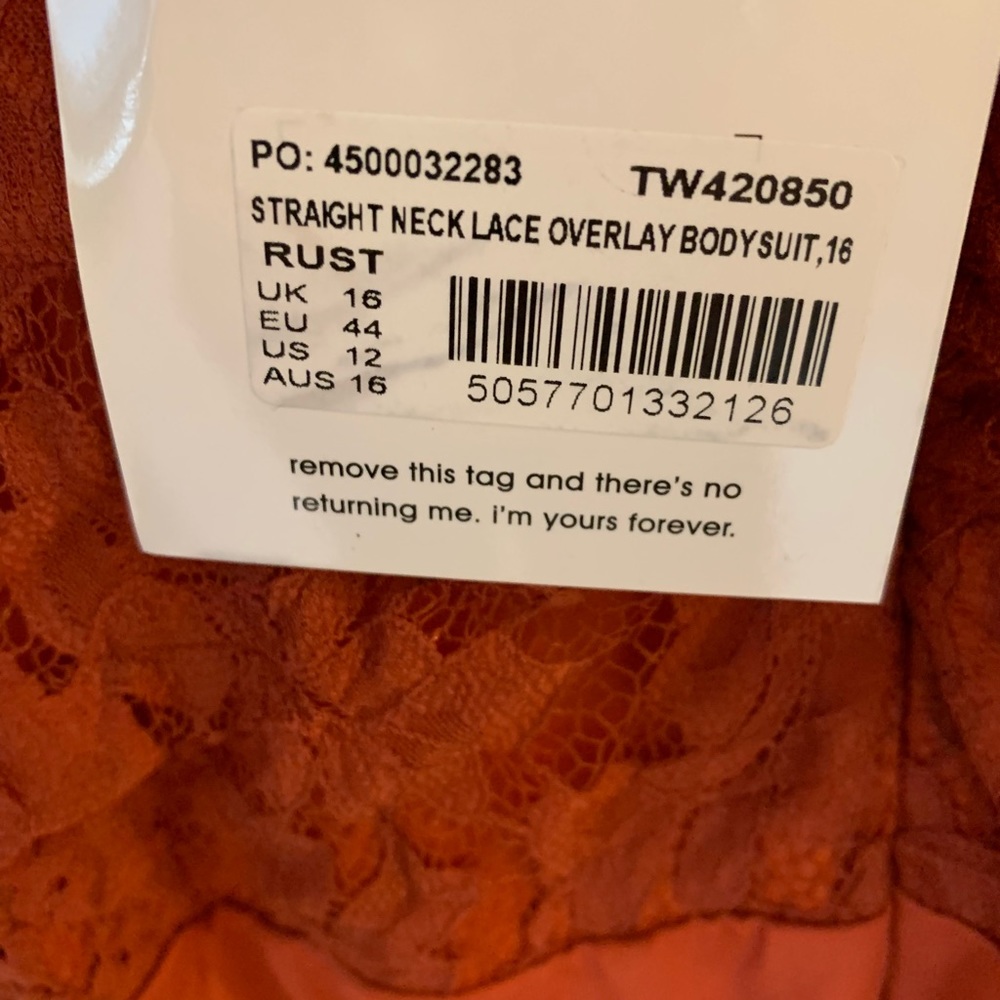 Misguided Burnt Orange Lace Overlay Bodysuit - Picture 4 of 5